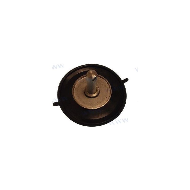 DIAPHRAGM ASSY